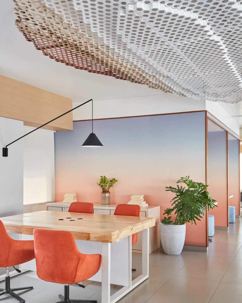 设计师与变异实验室合作安装