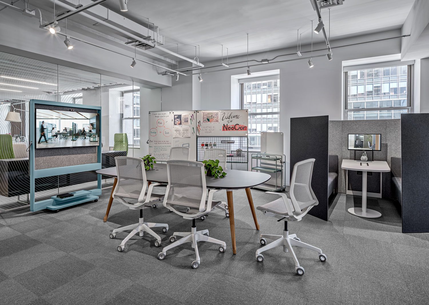 Cynara由Okamura编写