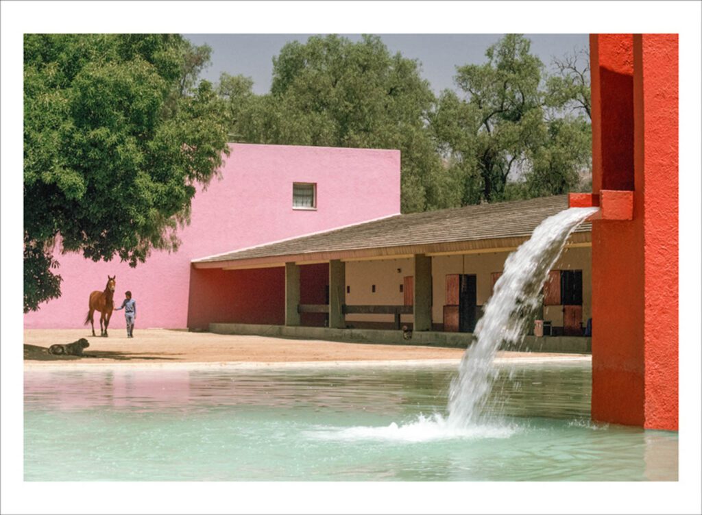 粉红色外部环绕树和水特征以及人带马