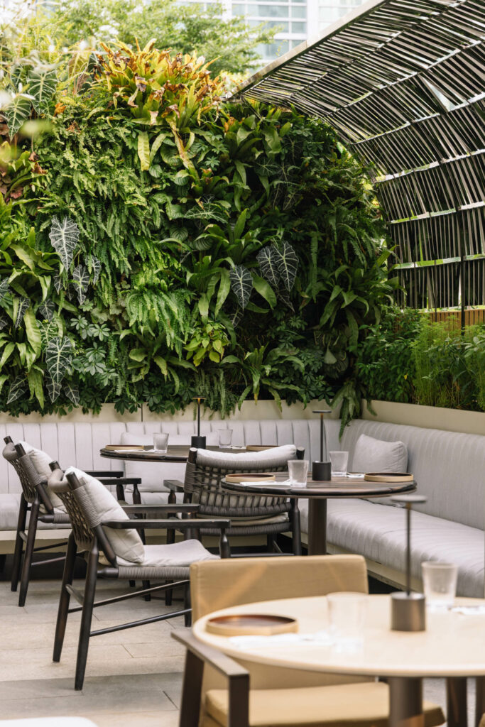 户外院子加绿素墙