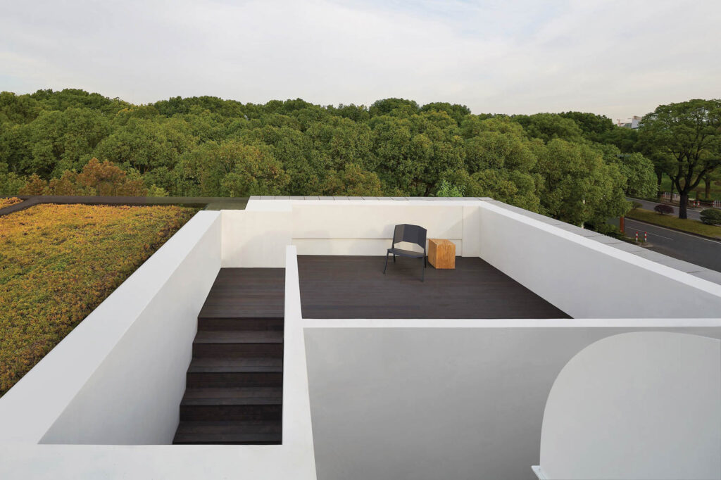 露天天台忽略树叶绿树