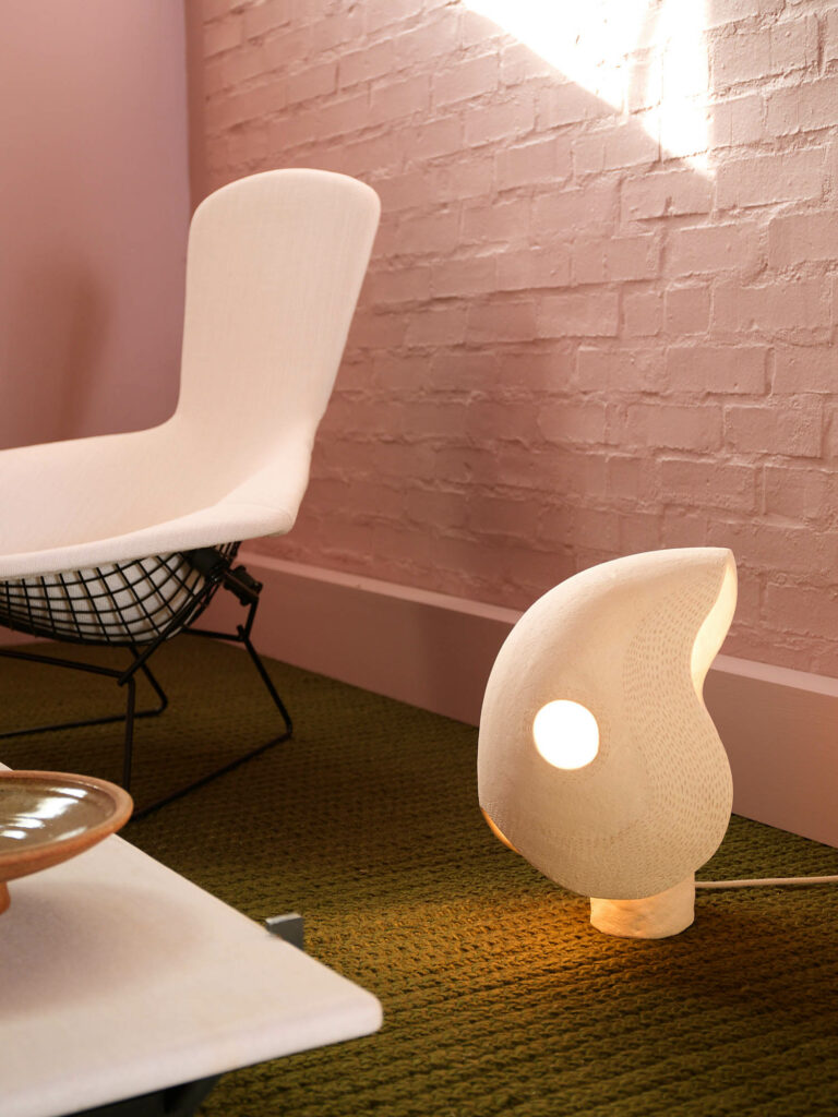 种子表光由Jan Ernst