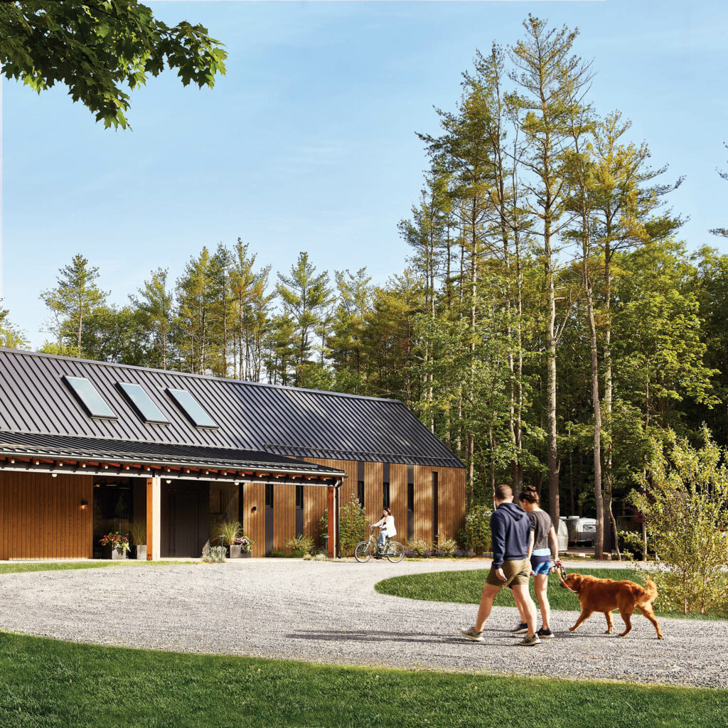 客人们走狗场面光照体验AutoCampCatsky