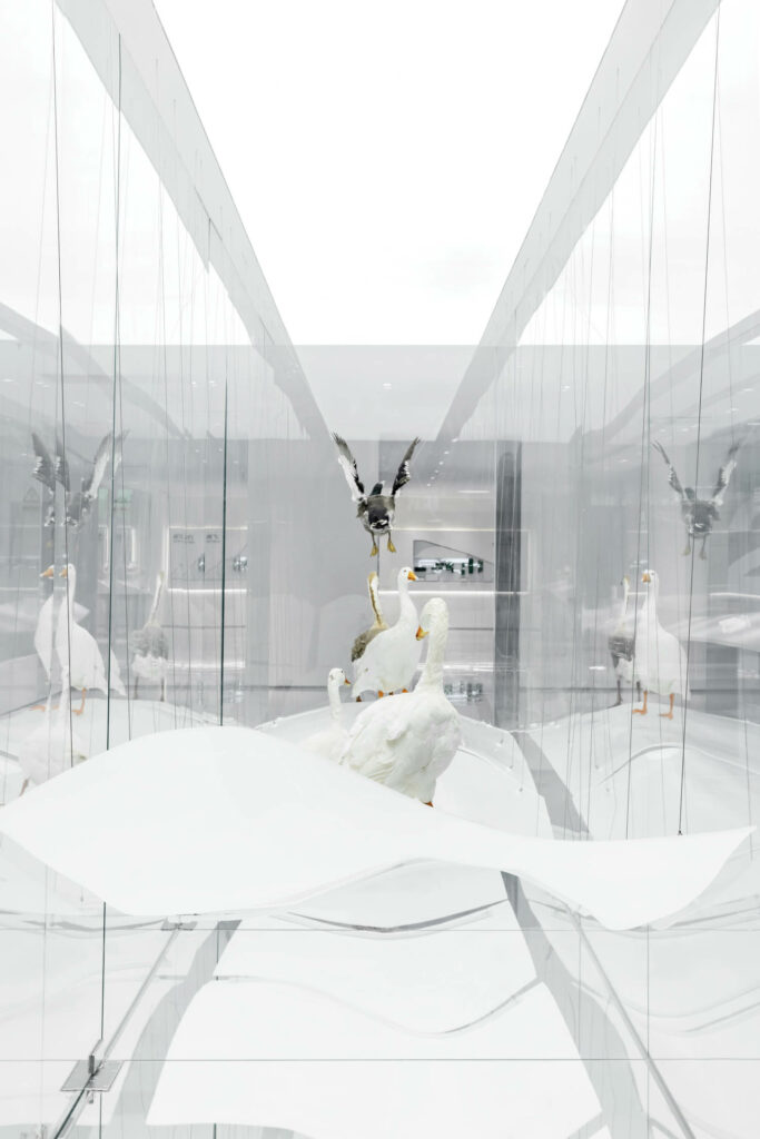 下填货制造商BSH