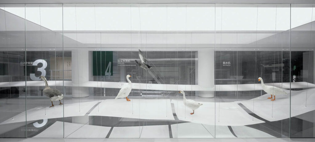 鸭子排成一行在中国BSH