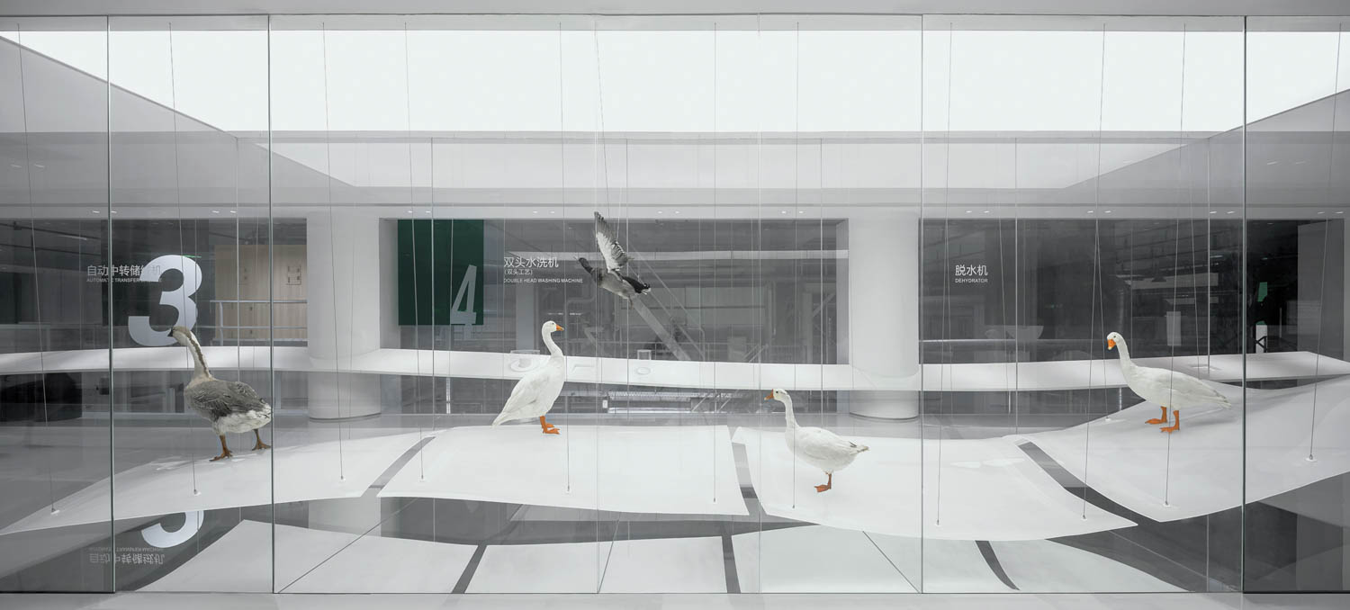 鸭子排成一行在中国BSH