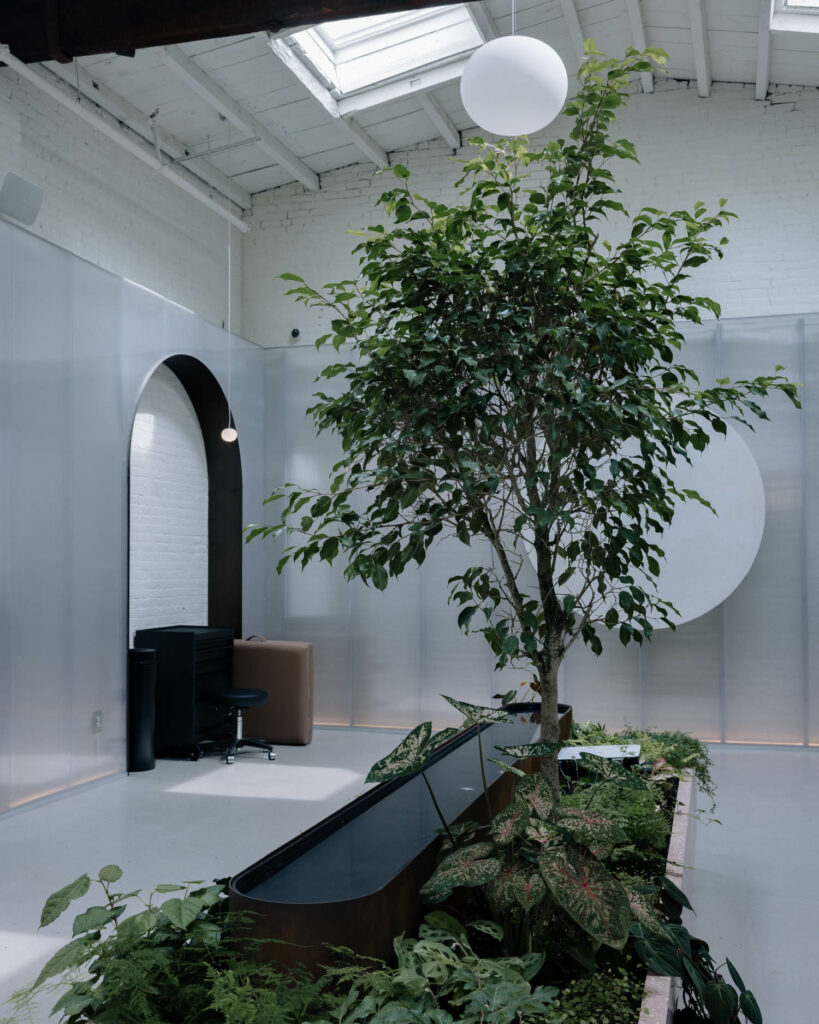 Atilier EVA中间带树板