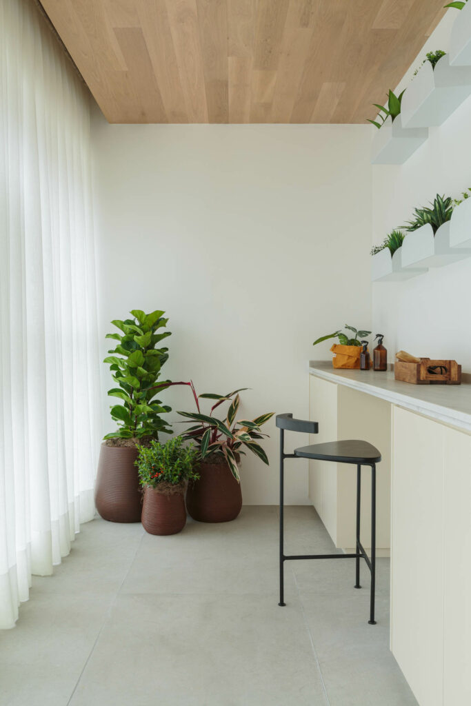 厨房内铺满植物角