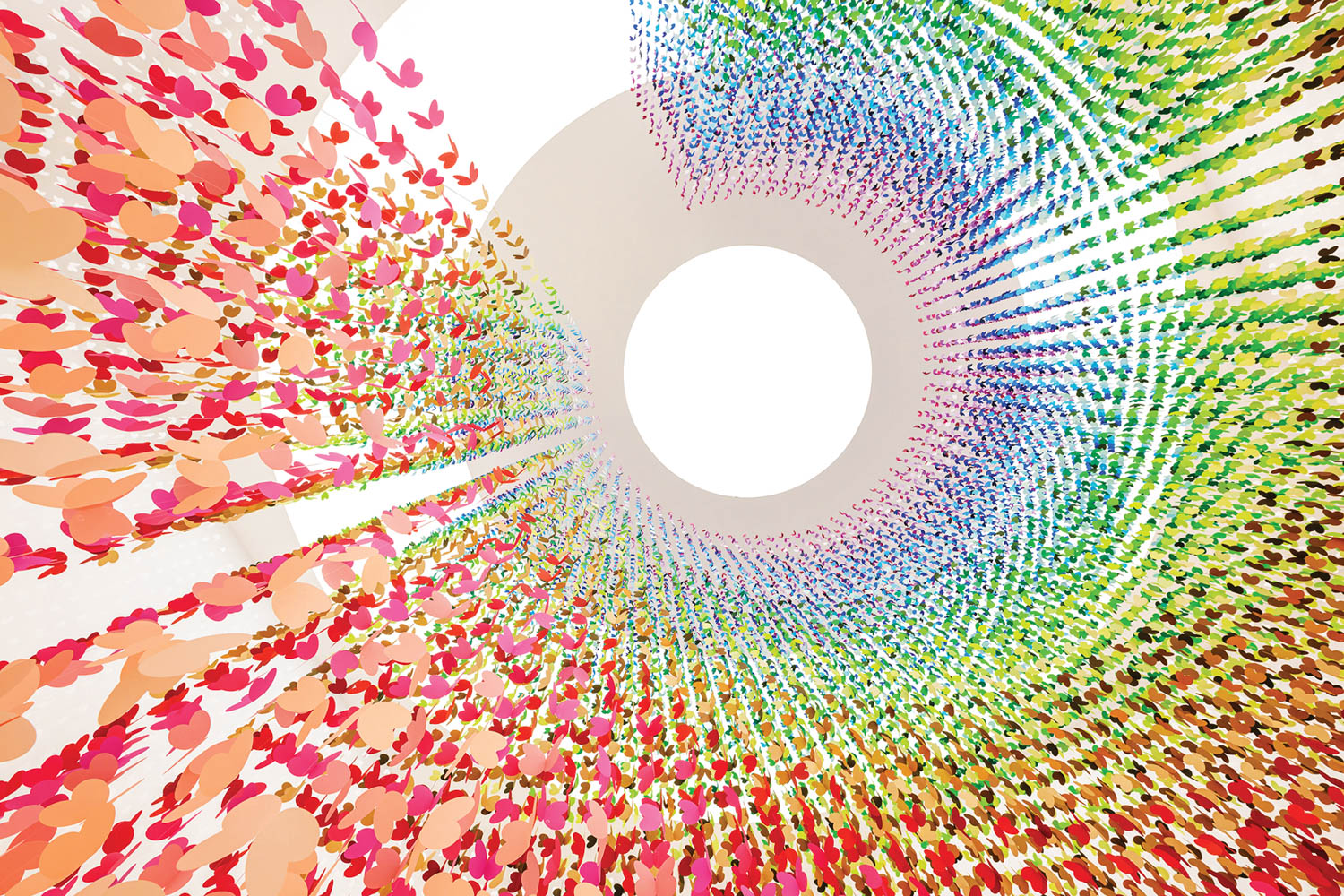 大白室满是毛色纸蝴蝶