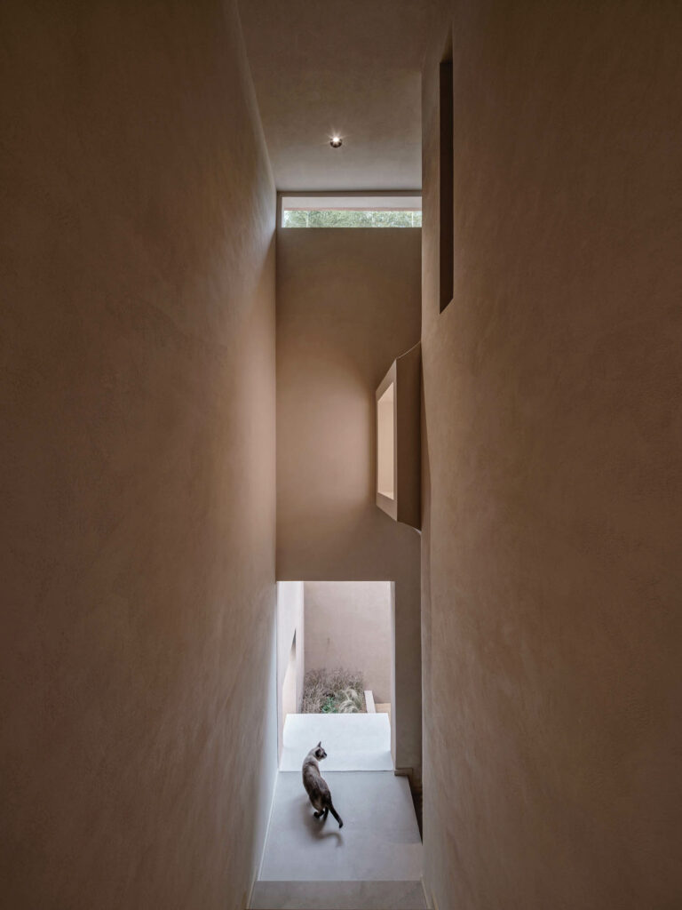 结构中立调色板